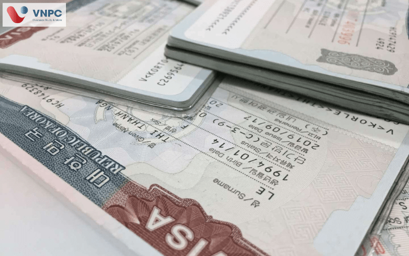 Visa D41